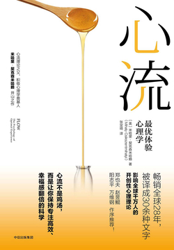 《心流》封面