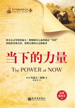《当下的力量》封面